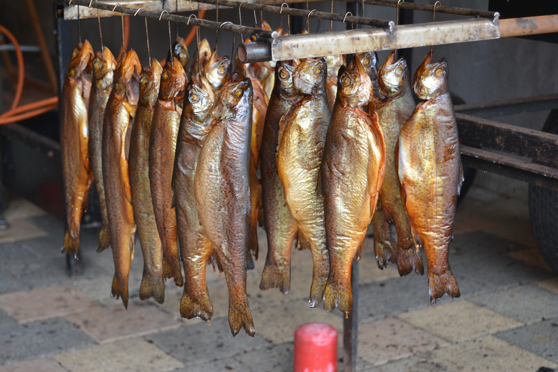 Galeriebild: Fische räuchern 016